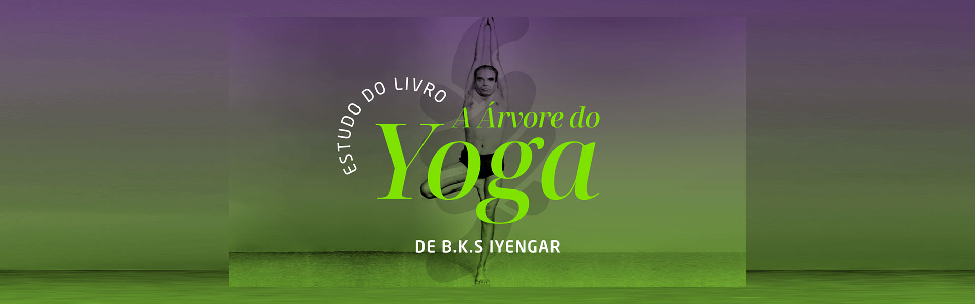 A Árvore do yoga - Curso on-line de Iyengar Yoga